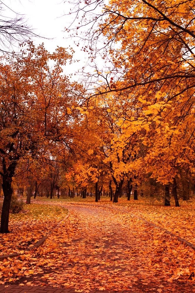 Photograph by Людмила Колесниченко