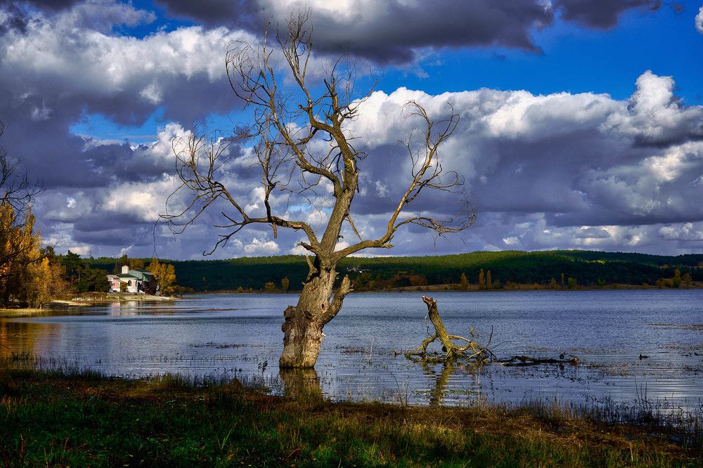 Photograph by Михаил Баевский