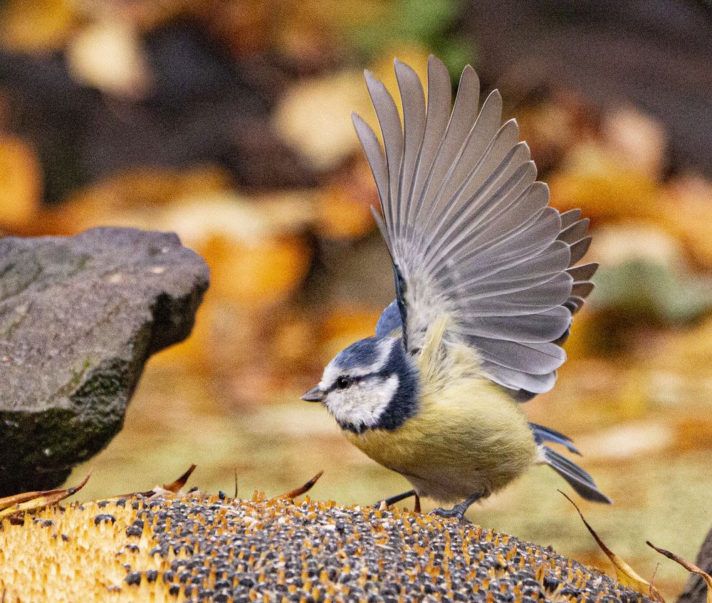 Photograph by Александр Пузиков