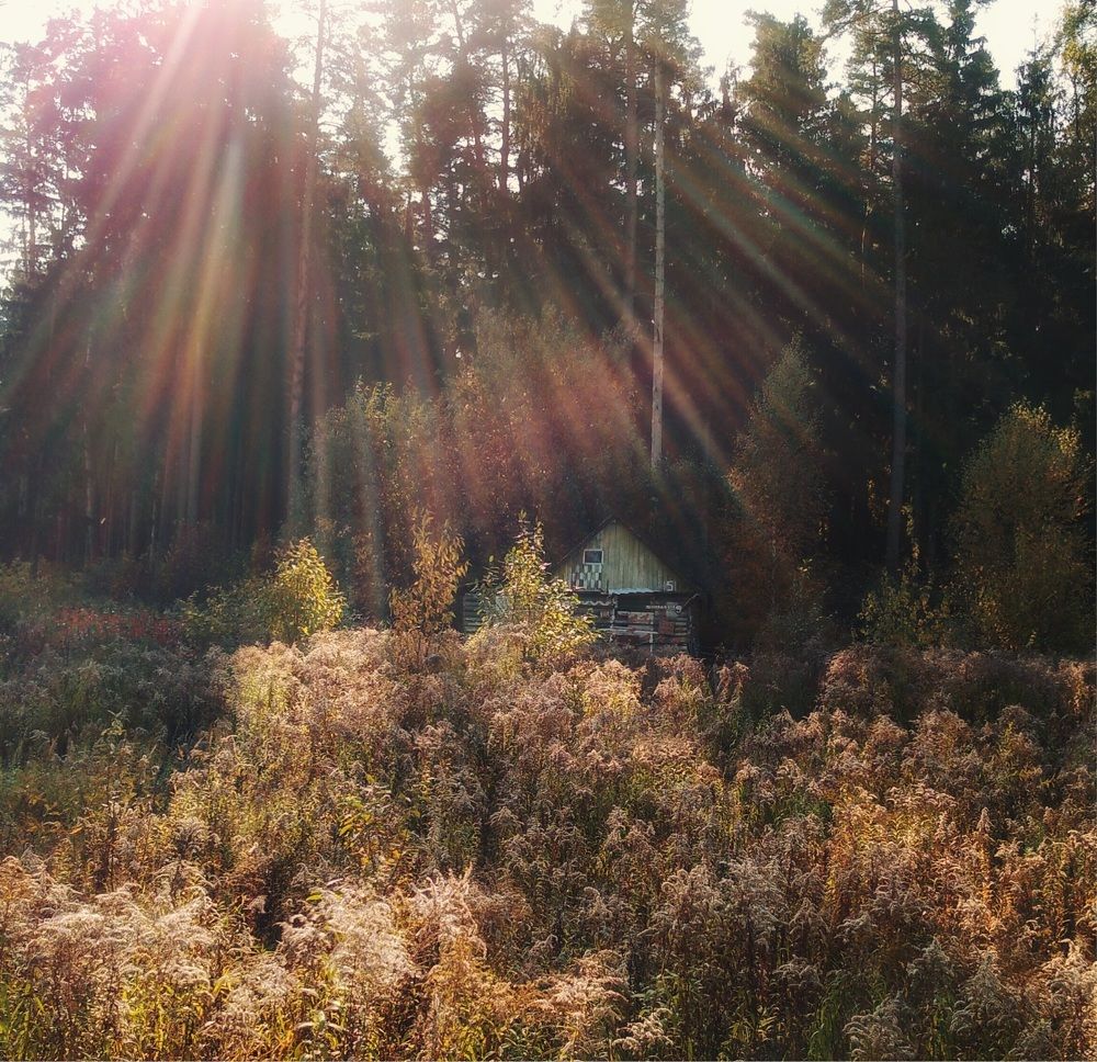 Photograph by Асад Ибадов