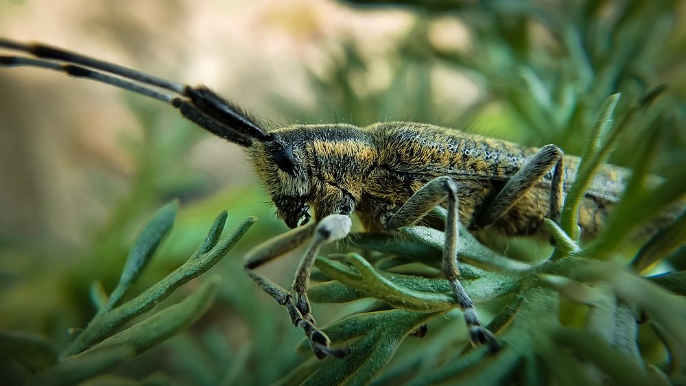 Photograph by Дина Чаица