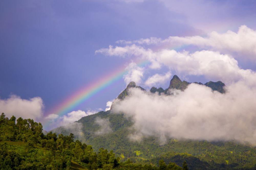 Photograph by Lien lai