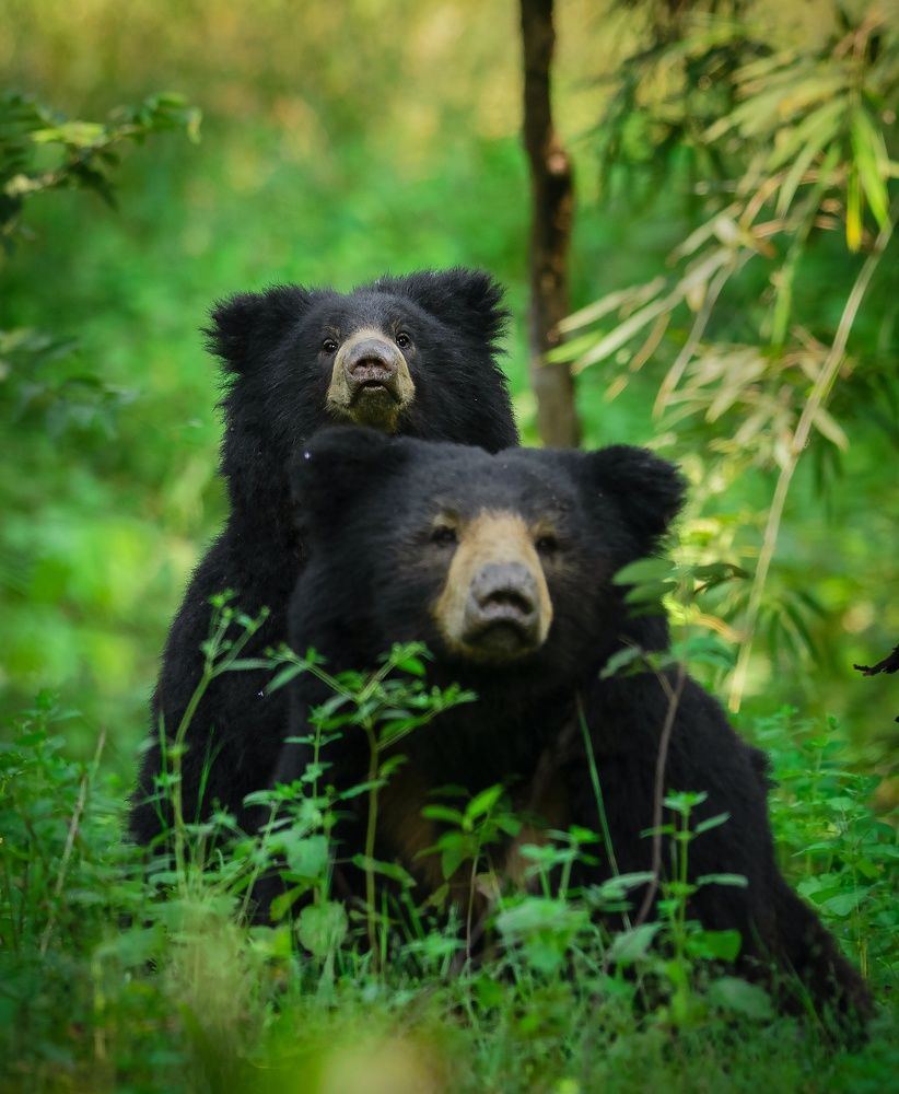 Photograph by Prashant Singh