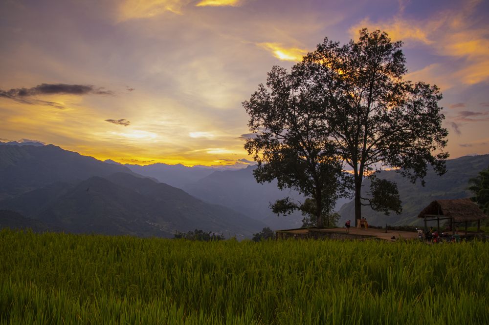 Photograph by Lien lai