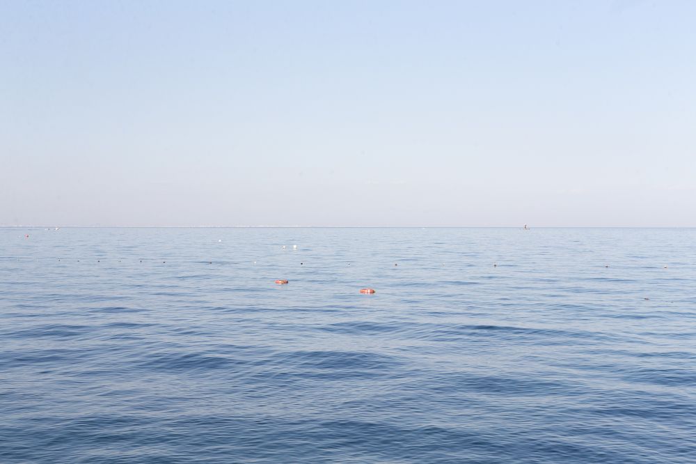 Фотография автора павел ермаков