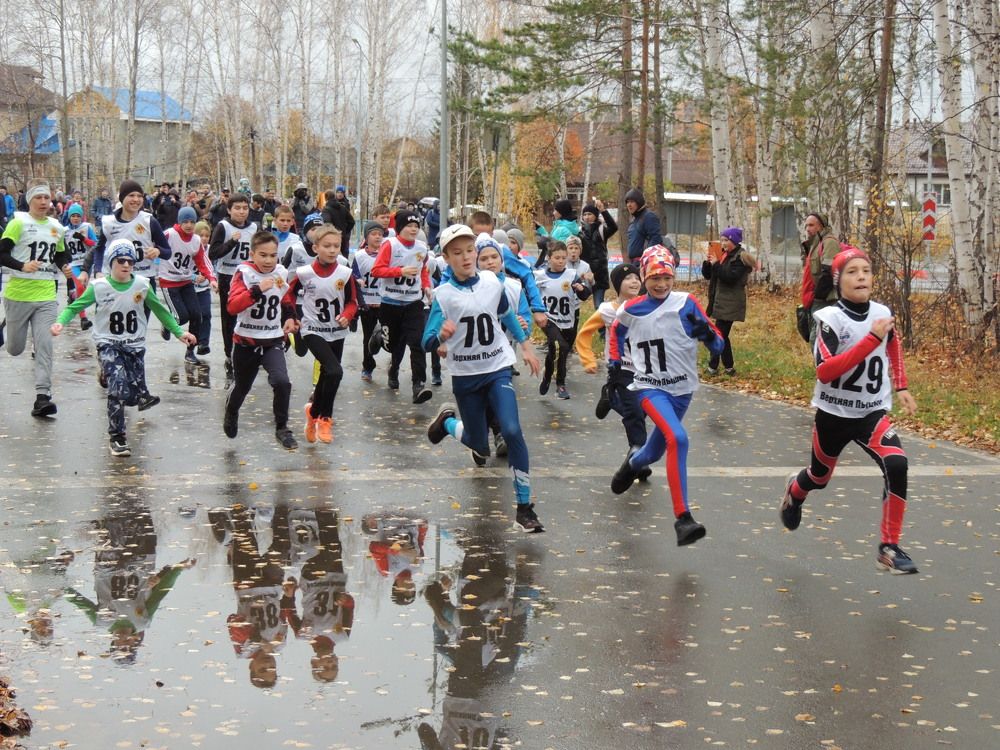 Осенний забег