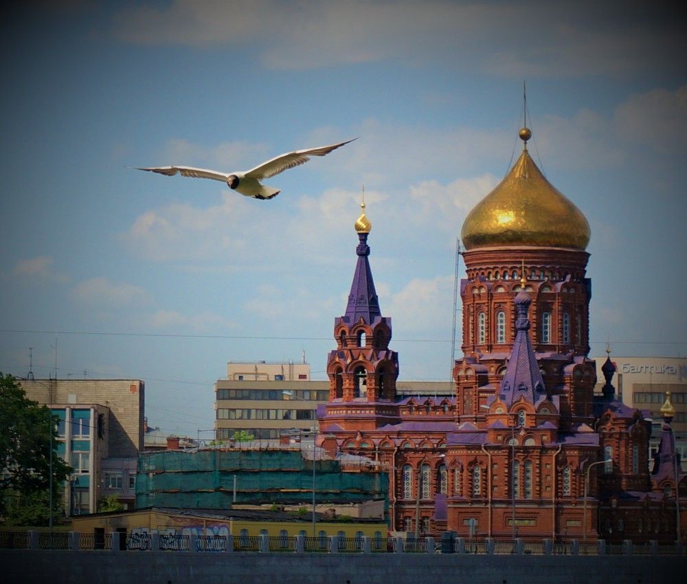 Photograph by Inna Oshe