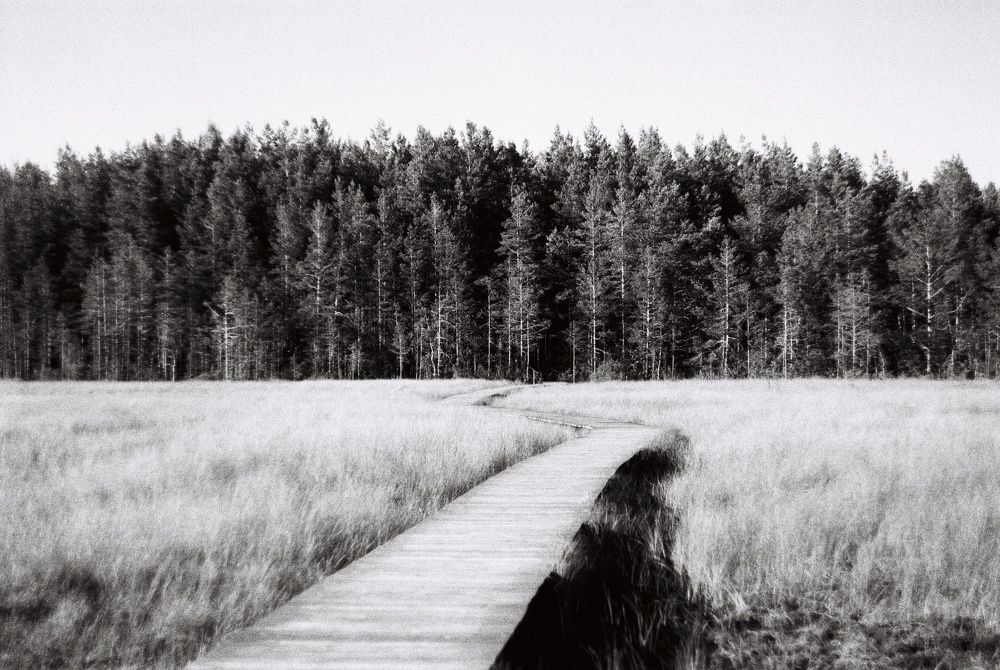 Photograph by Алина Бурнашева