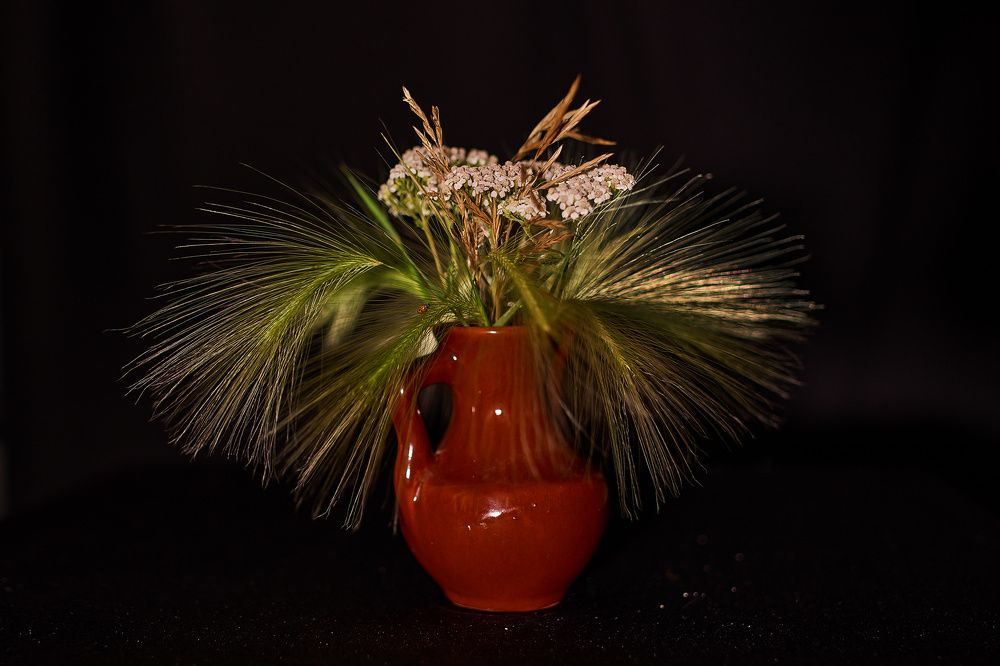 Photograph by Татьяна