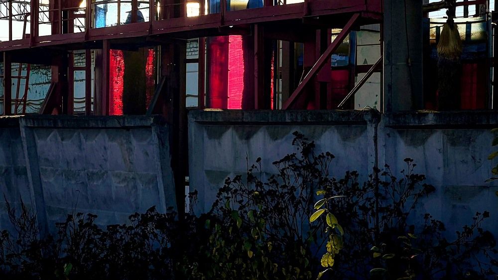 Photograph by Галина Аскольдовна Луковникова