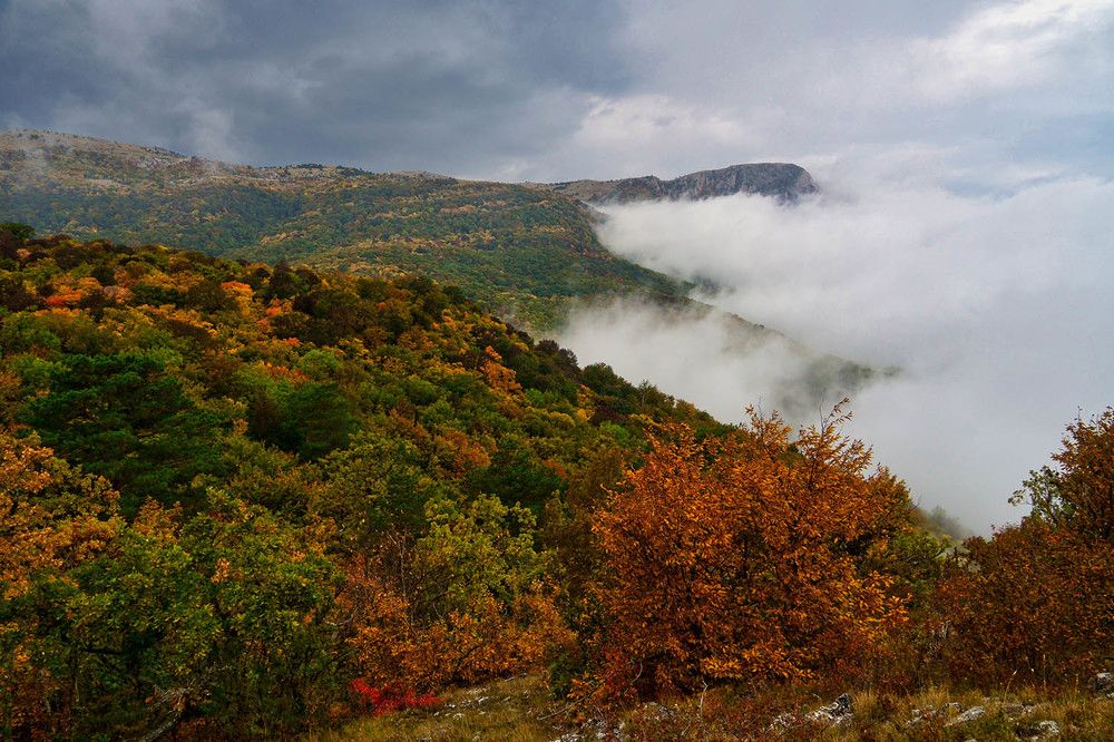 Photograph by Михаил Баевский