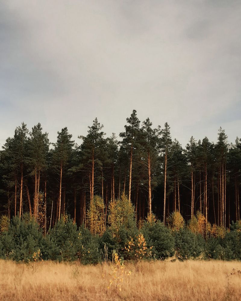 Photograph by Татьяна Носкович