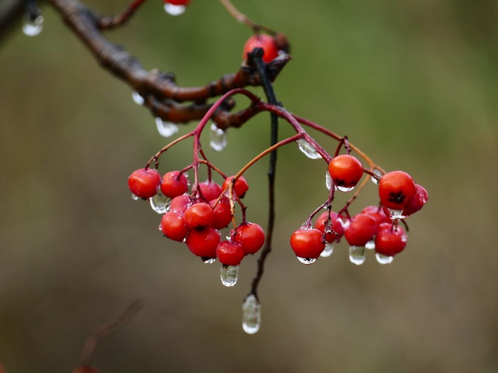 Photograph by Александр Кизим