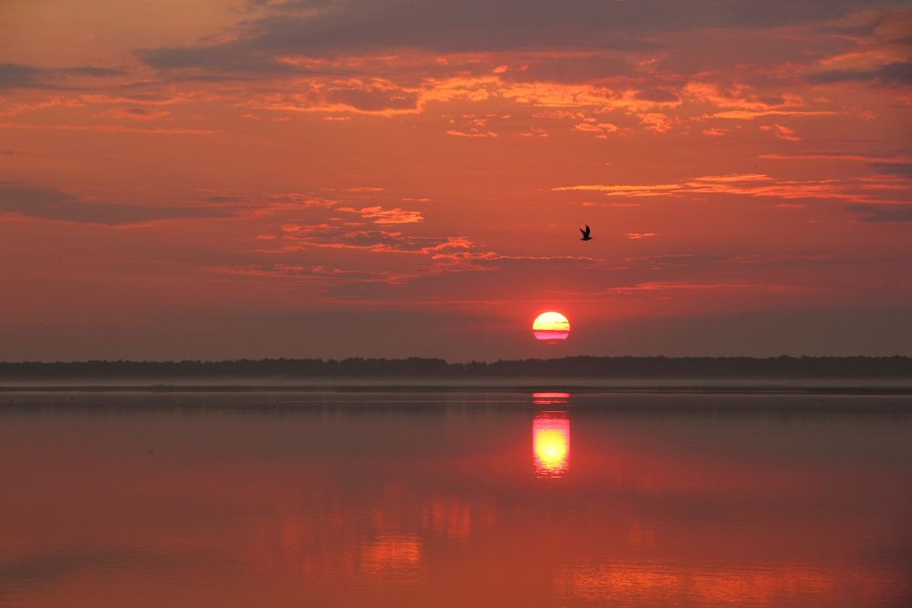 Фотография автора Кухта Мария