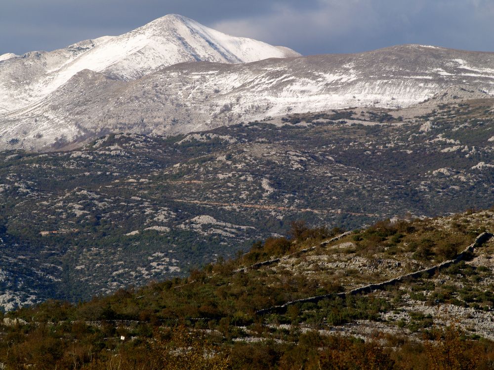 Фотография автора Dubravko Maricic