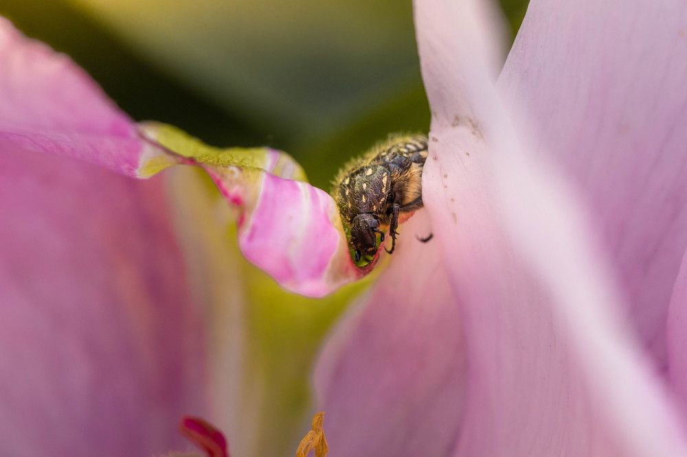 Photograph by Алан Гасымов