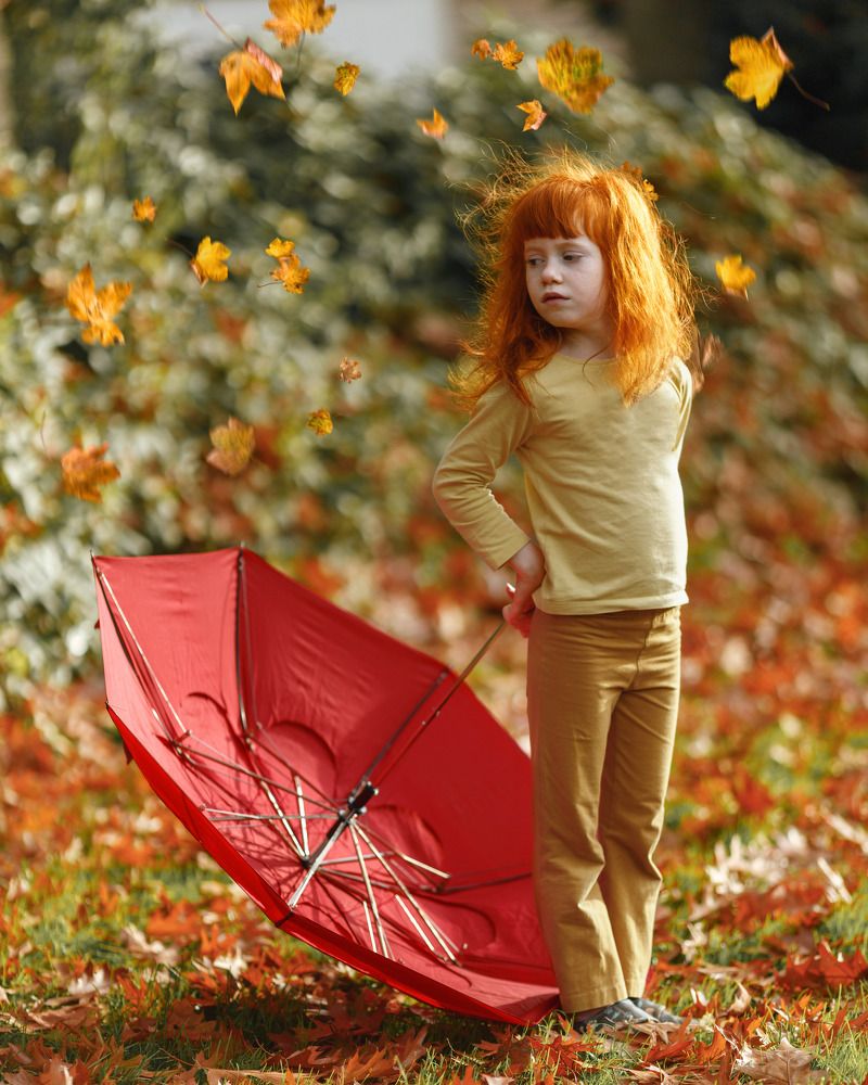 Фотография автора Elena Turina