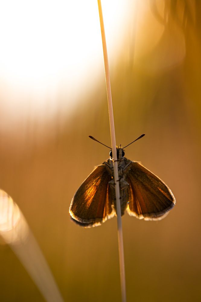 Photograph by Алан Гасымов