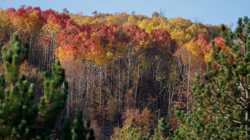 Photograph by Sajkovski Dejan