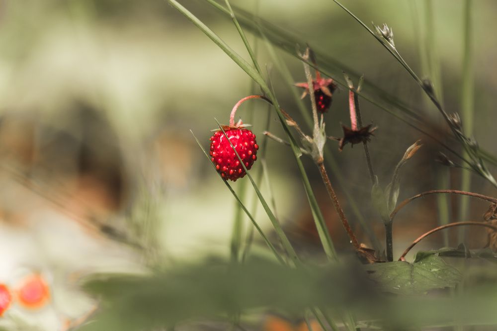Photograph by Никита Волокитин