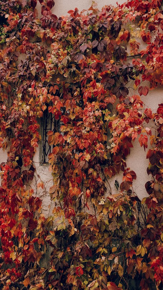 Photograph by Ирина Панкова