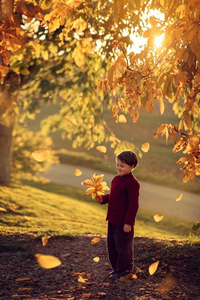 Photograph by Елена Мохонь