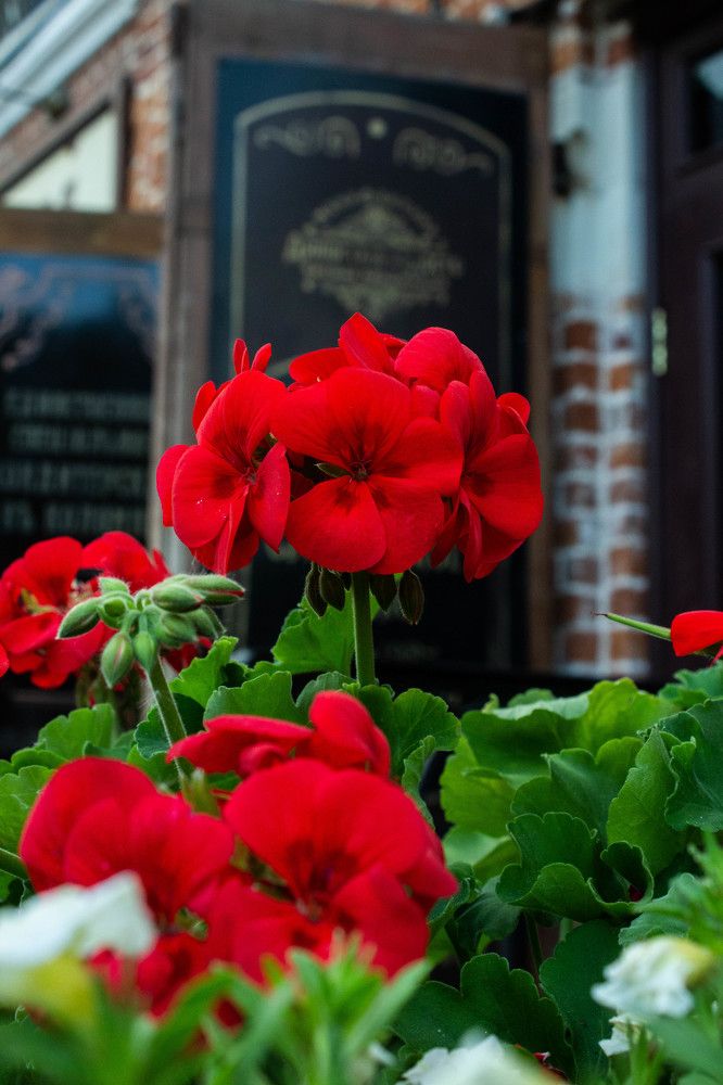 Photograph by Виолетта Митякина