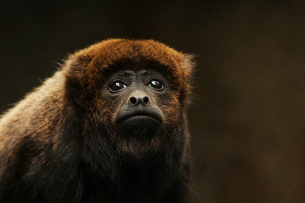 Photograph by Ricardo Venerando