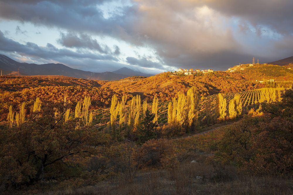 Осенние зарисовки.