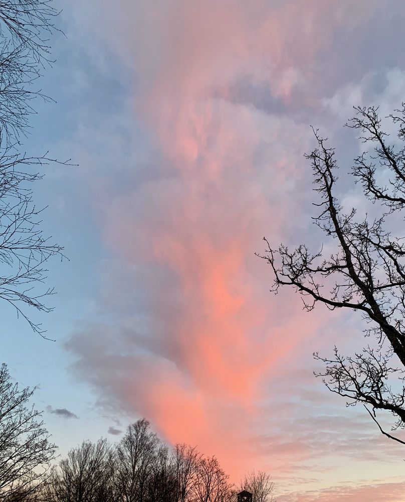 Photograph by Irina Andrienko