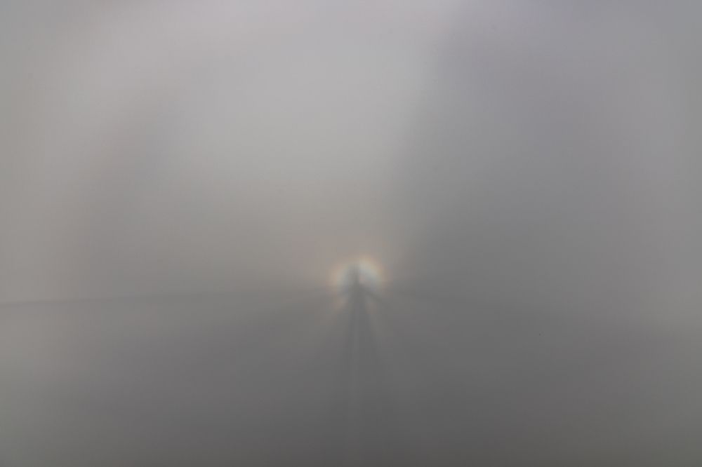 Photograph by Andrew Mikhaylov