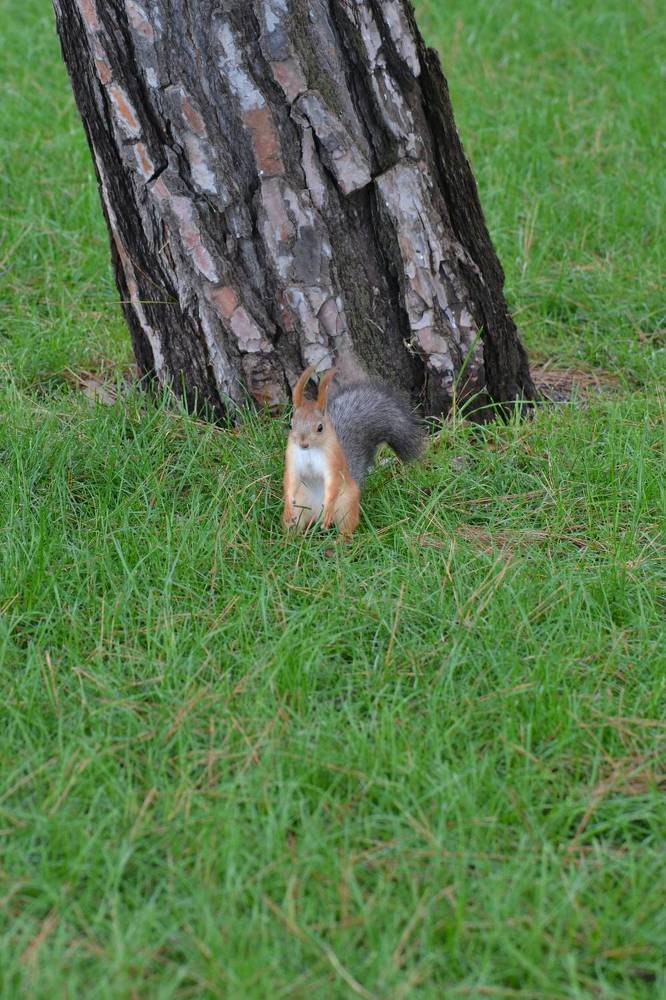 Photograph by Aleksey