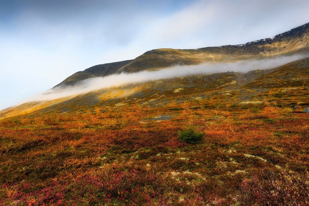 Photograph by Владимир Брагилевский