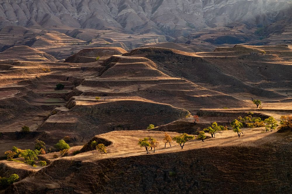 Мастер теней