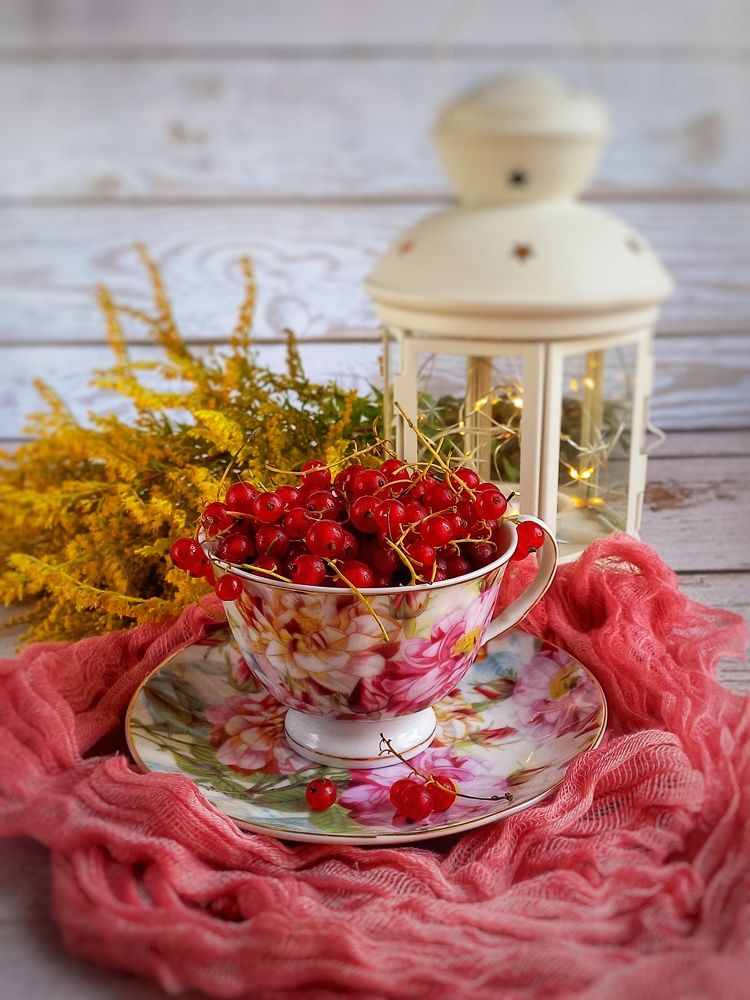 Photograph by Жанна