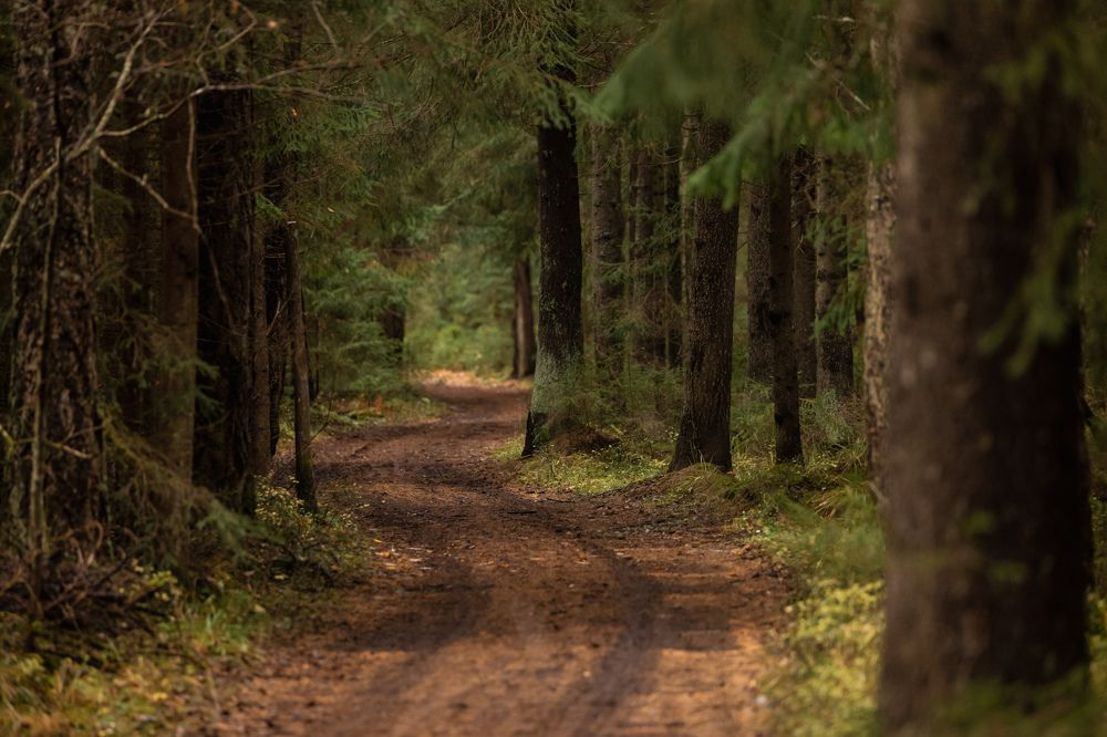 Photograph by Илья Юфа