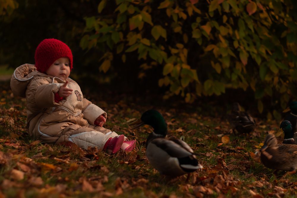 Photograph by Егор Ставер