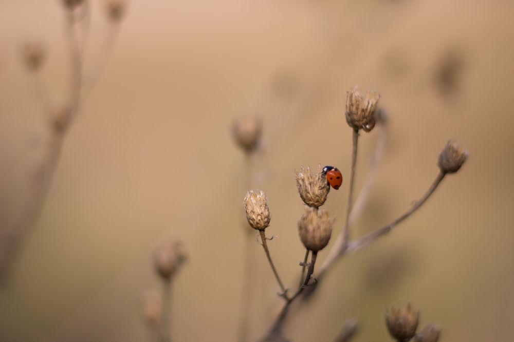Photograph by Марина Магадиева