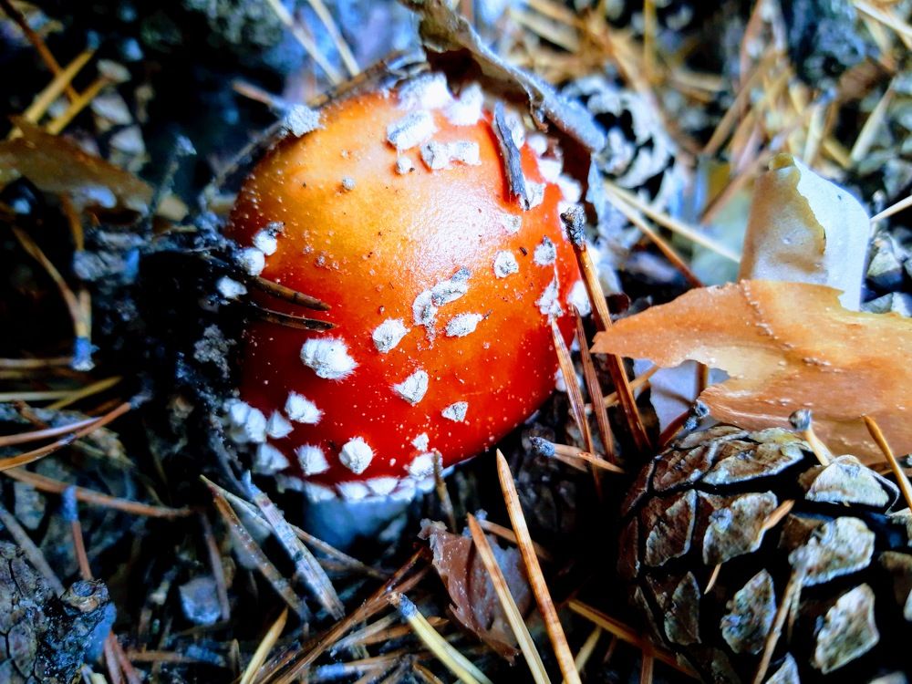 Photograph by Ирина Владимировна