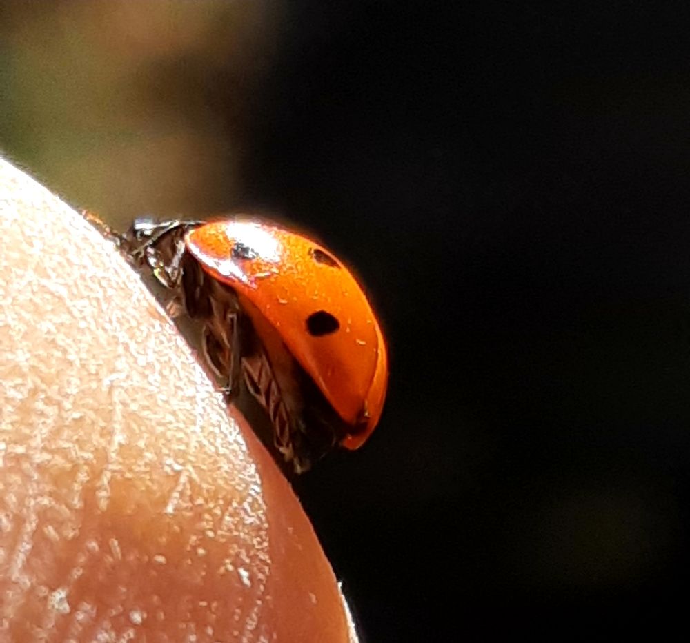 Photograph by Ольга Александрова