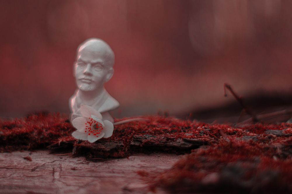 Photograph by Егор Ставер