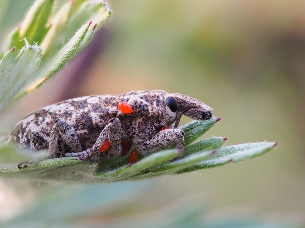 Photograph by Дмитрий