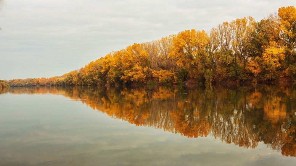 Photograph by Богдан Витальевич