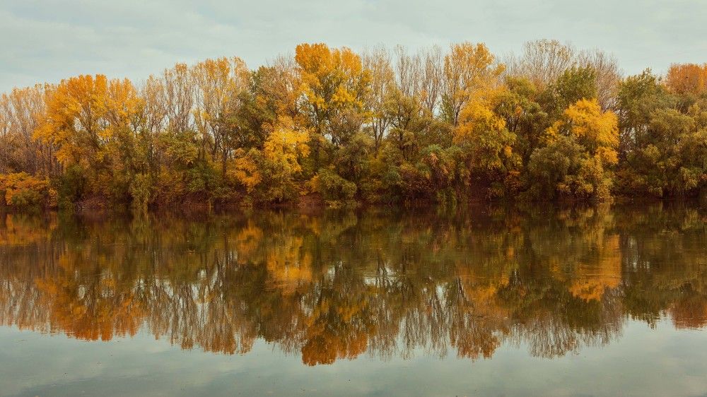 Photograph by Богдан Витальевич