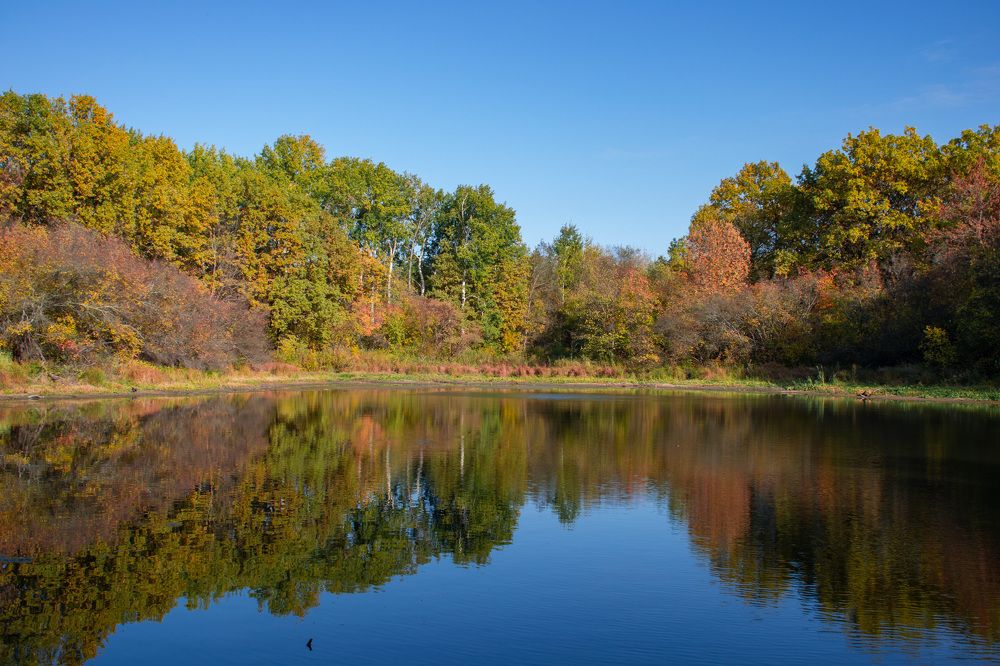 Photograph by Марина Магадиева