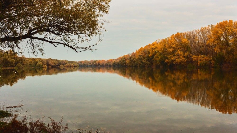 Photograph by Богдан Витальевич