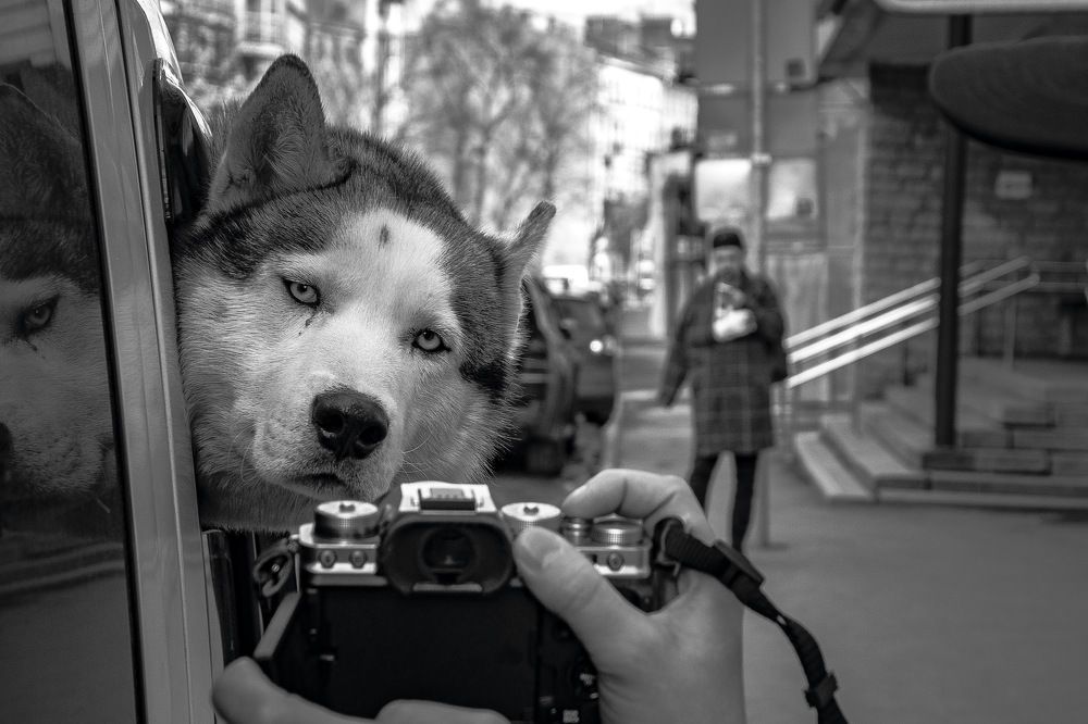 Photograph by Ekaterina Yushkova