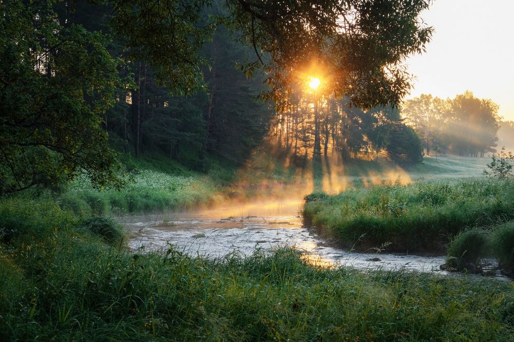 Photograph by Екатерина