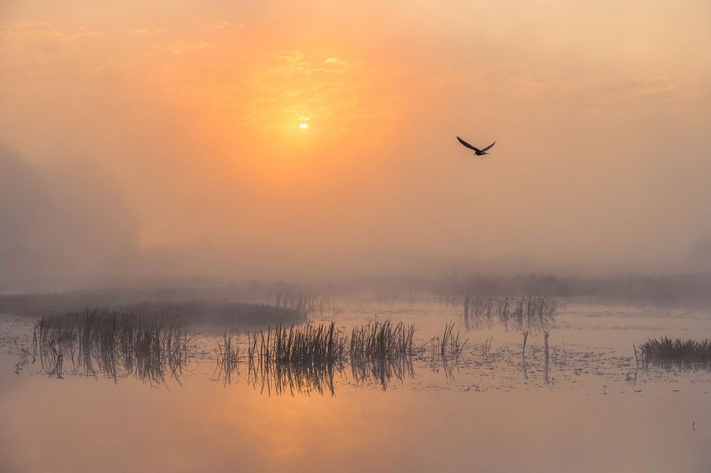 Photograph by Екатерина