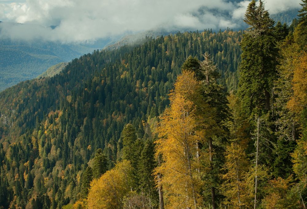 Photograph by Юлия Сезёмова